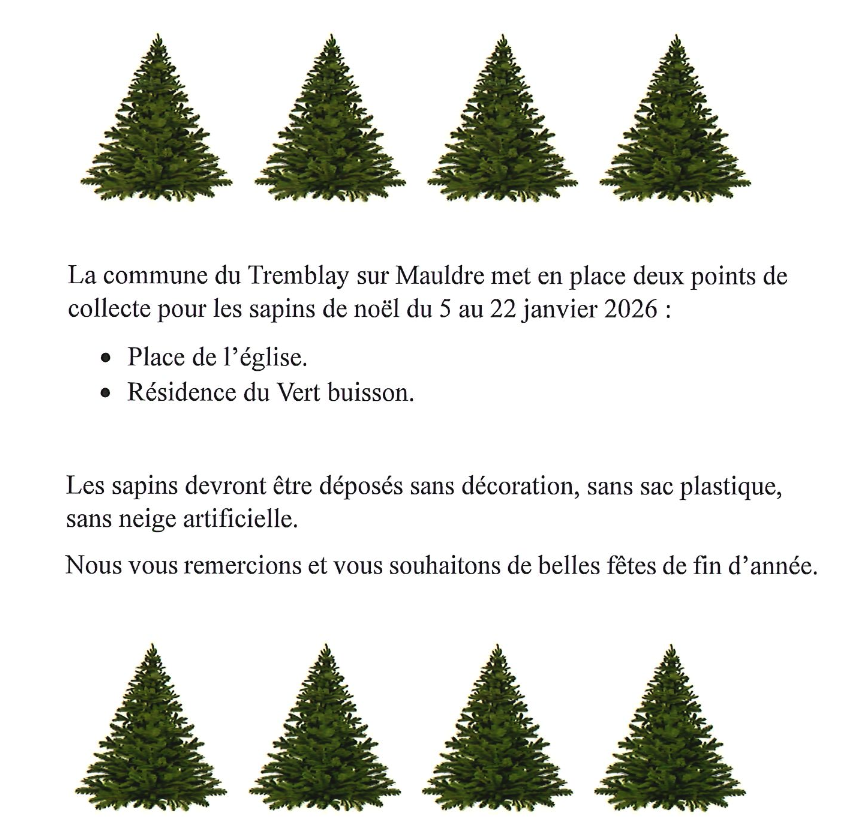 collecte sapins