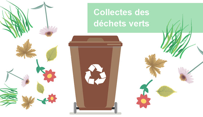 RAMASSAGE DES DÉCHETS VERTS