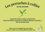 perruche